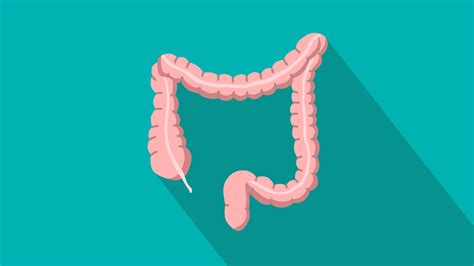 Is Colonoscopy Really King for Colorectal Cancer Detection ...