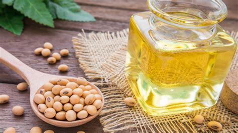 Is Soybean Oil Good for Your Hair?