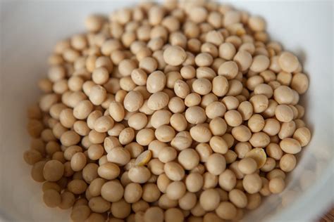 Is soybeans good or bad for you? | fitnhealthyu