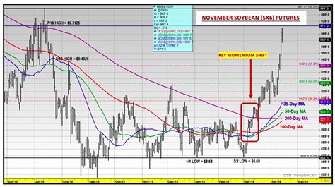 Is The Soybean Rally For Real? A Comprehensive Review
