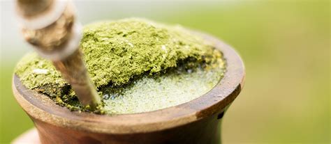 Is there any benefit to drinking Yerba mate tea? | Office ...