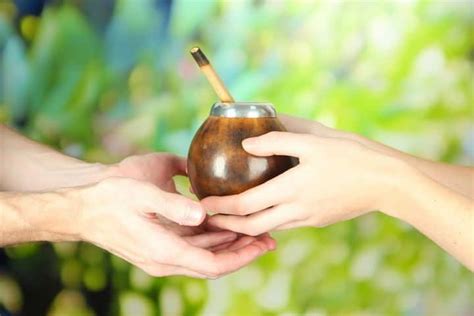 Is Yerba Mate Tea Good for Weight Loss  Research Evidence ?