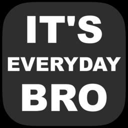 It s Everyday Bro   Daily Vlogs by Vertebit LLC