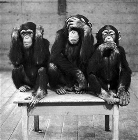 IT S LIKE THAT!: Three Wise Monkeys