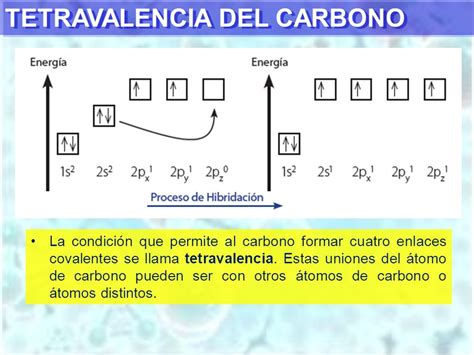 IV UNIDAD: QUÍMICA ORGÁNICA CAP 1: PROPIEDADES DEL CARBONO ...