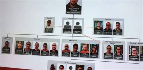 Jalisco New Generation Cartel cell dismantled in Puerto ...