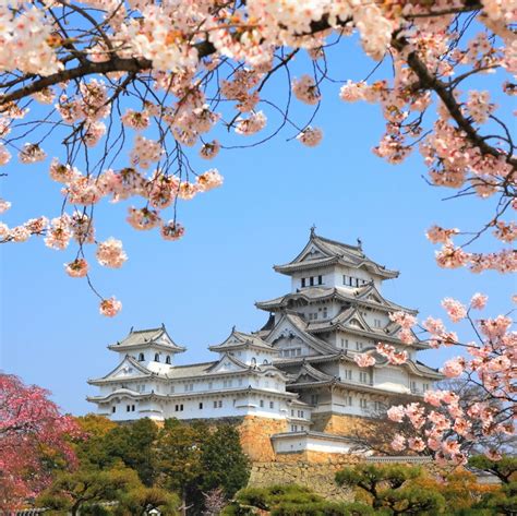 Japón con los cerezos en flor: guía para celebrar el hanami