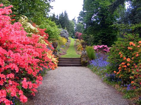Jardim Flores Arbustos · Foto gratuita no Pixabay