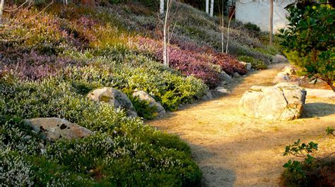 Jardín de brezos en Somosaguas, Madrid : Urquijo Kastner