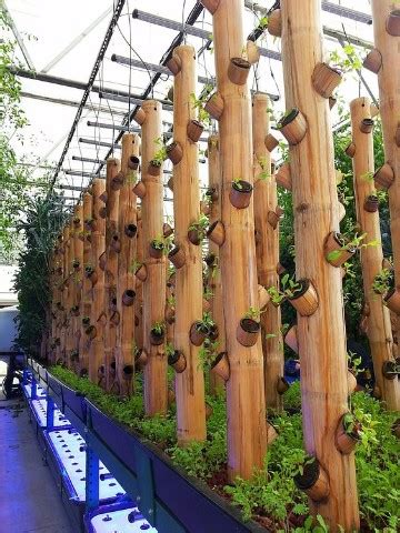 Jardines con bambu en decoracion de paredes para exterior ...