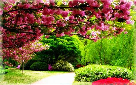Jardines en Fotos Primaverales de Paisajes | Imágenes de ...