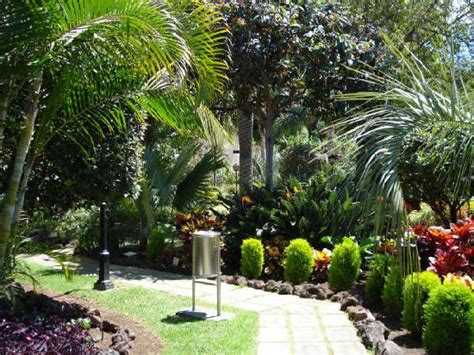 Jardines » plantas para jardin exterior