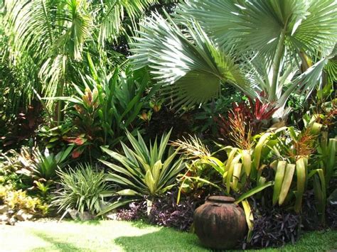 Jardines tropicales | Plantas