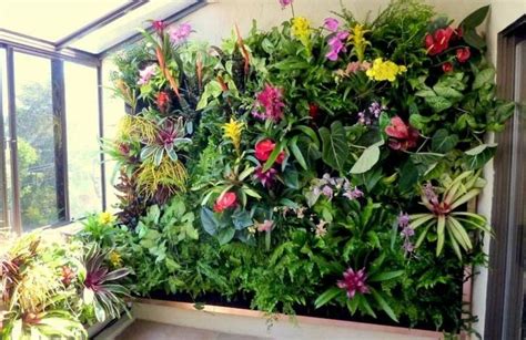 Jardines verticales para interiores | Plantas