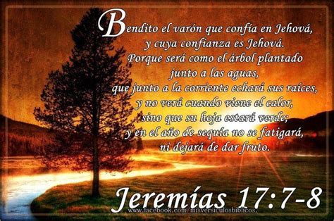 Jeremias 17:7 8 | Bible Quotes & Verses | Pinterest