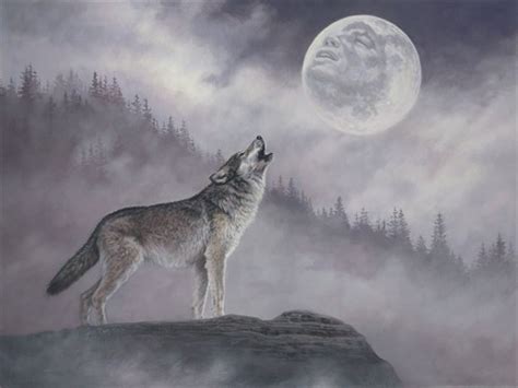 Jon Ren Wildlife Art   News & Events   2013 Timber Wolf ...