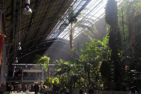 Jurassic Park in Madrid/tropical garden in the Atocha ...