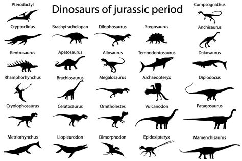 Jurassic Period Animals List