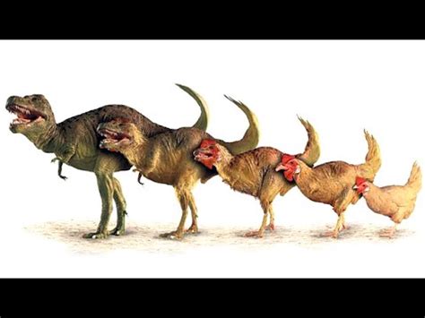 Jurassic world dinosaurios en un futuro?   YouTube