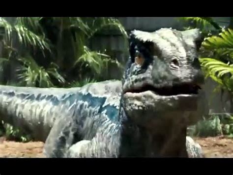 Jurassic World Movie Clip   Raptor Pack  2015  Chris Pratt ...