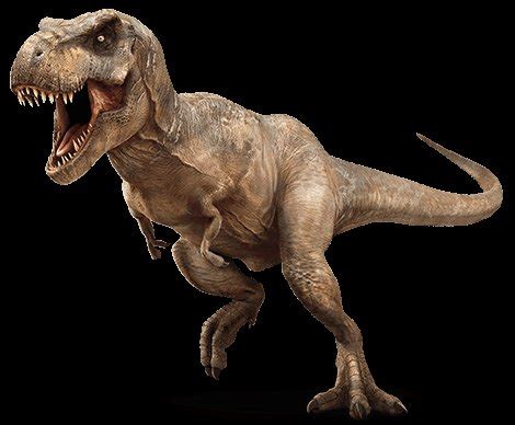 Jurassic World Photos: The T Rex Returns!   MovieWeb