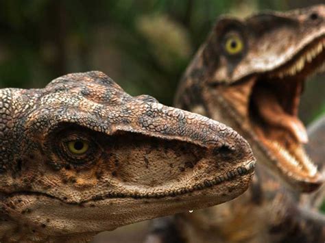 Jurassic World: ¿Qué tipo de dinosaurio eres?  Test de ...