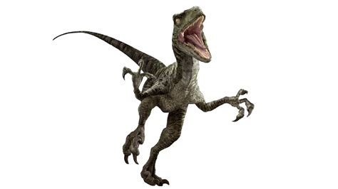 Jurassic World: Velociraptor V3 by sonichedgehog2 on ...