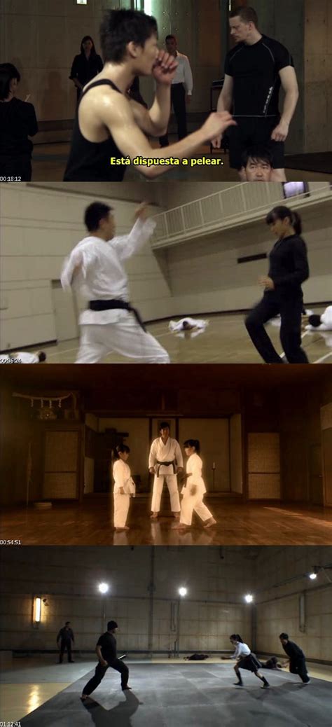 Karate Girl  2011  [DVDRip] [Sub. Español] [Accion] [WU ...