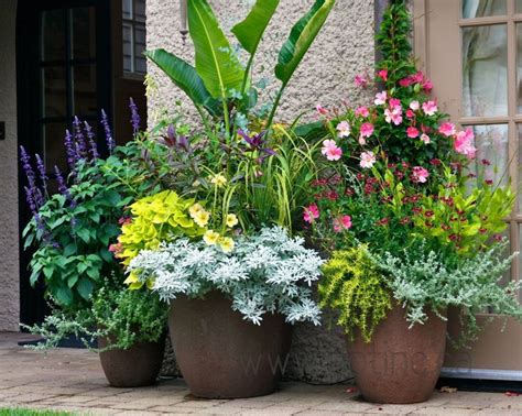 Kellough residence, Perennial, flowers, potted, container ...