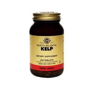 Kelp: un suplemento para tu metabolismo | HSN Blog