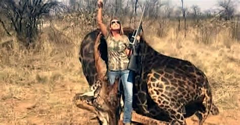 Kentucky Woman Faces Backlash For Killing Giraffe In ...