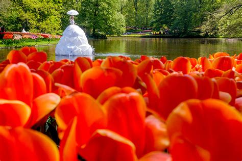 Keukenhof, el jardín más colorido de Europa en primavera