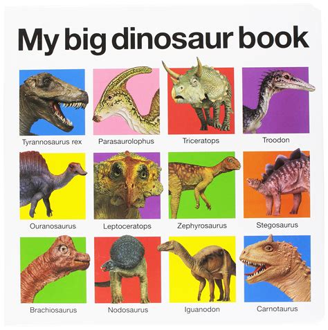 Kids Dinosaur Book – Kids Matttroy