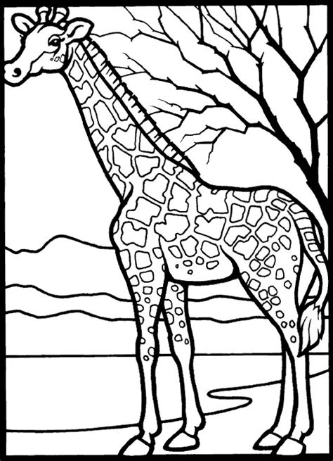 Kids n fun.com | 45 coloring pages of Giraffe