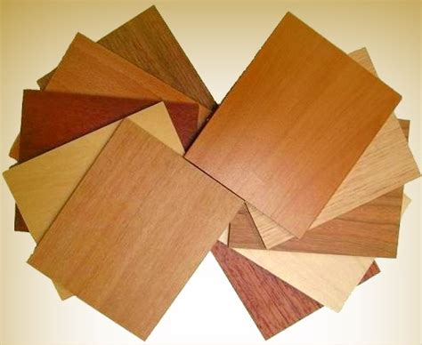 Kinds of Wood for Furniture – The Kind of Wood for Furniture