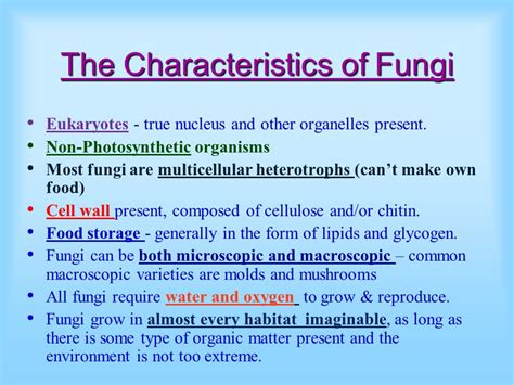 Kingdom Fungi.   ppt video online download