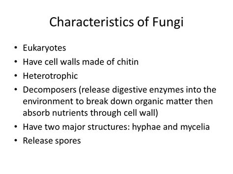 Kingdom: Fungi.   ppt video online download