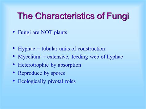Kingdom Fungi The characteristics of fungi The evolution ...