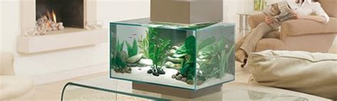 Kits de acuarios de agua dulce con y sin mesa   Exofauna