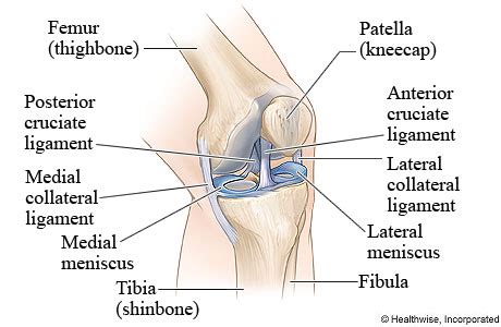 Knee Injuries | New Fairfield Chiropractic Center