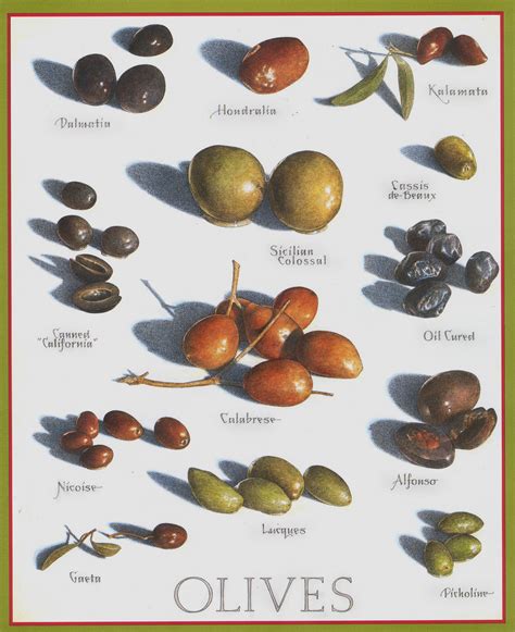 Know Your Olives | Back cover artwork taken from the print ...