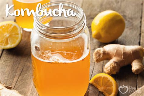 Kombucha: bebida probiótica que emagrece   Blog da Mimis