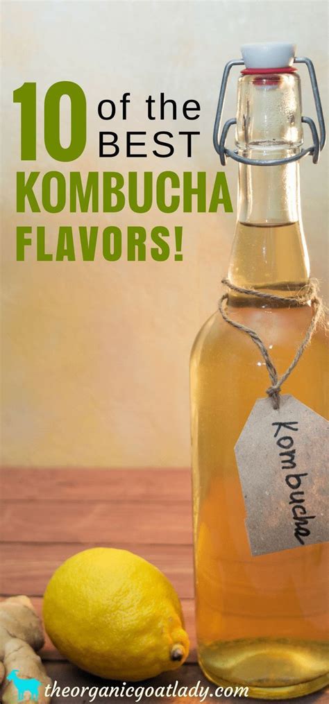 Kombucha Recipe: 10 Amazing Kombucha Flavors That You Will ...