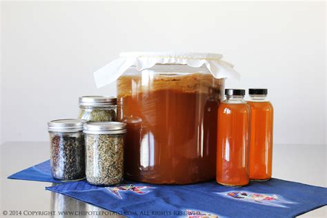 Kombucha – Fermented Tea | How to Grow a SCOBY