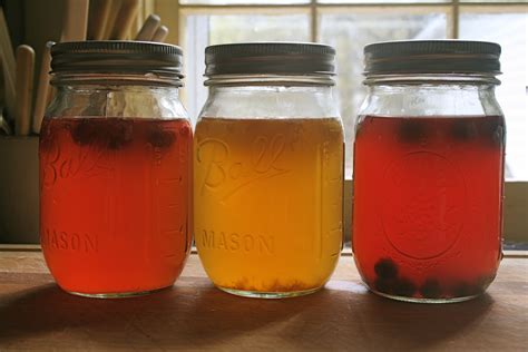 Kombucha – Home Brewed Elixir for Life | Farmhouse Kitchen