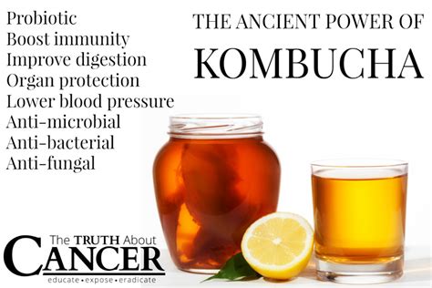 Kombucha Tea   History, Health Benefits & Insanity | The ...