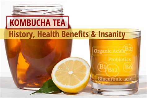 Kombucha Tea   History, Health Benefits & Insanity | The ...