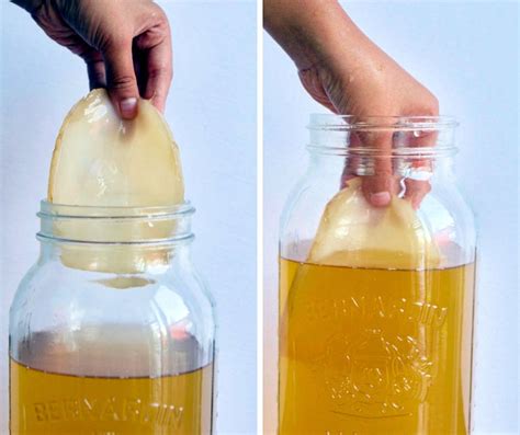 Kombucha: Your Step by Step Guide to Brewing and Flavouring
