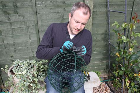 Kris s Blog: Budget topiary ball   Amateur Gardening