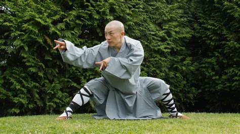 Kung Fu e le ombre invisibili   KungFuLife